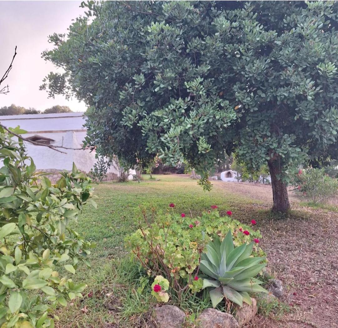 casa rural el niño Santamaría , con piscina y wifi Vejer de la Frontera Exterior foto