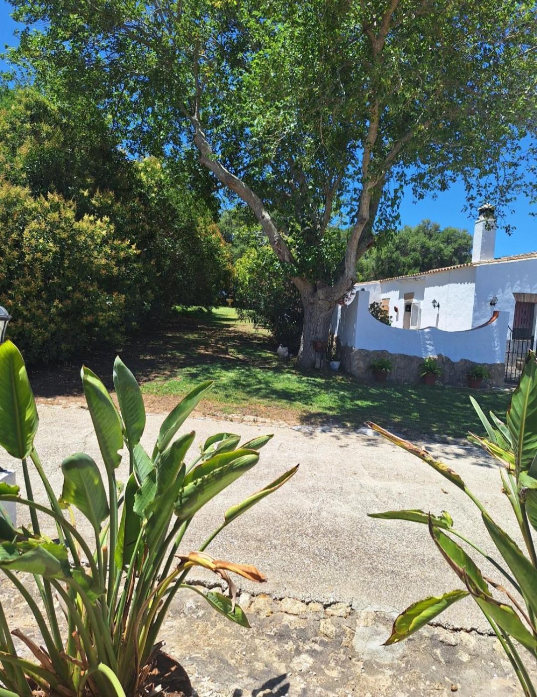 casa rural el niño Santamaría , con piscina y wifi Vejer de la Frontera Exterior foto
